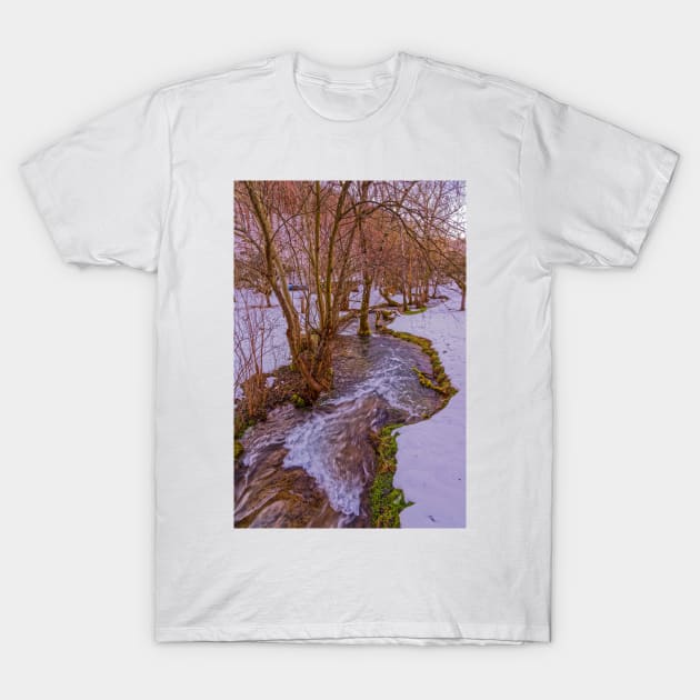 Calc-sinter or Travertine terraces, Gutenberg, South Germany T-Shirt by mbangert